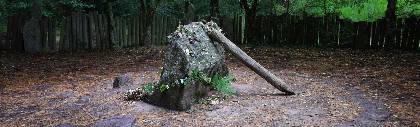The Golden Tree of Brocéliande Forest in Brittany